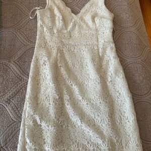 Ann Taylor Floral Lace Cream Dress